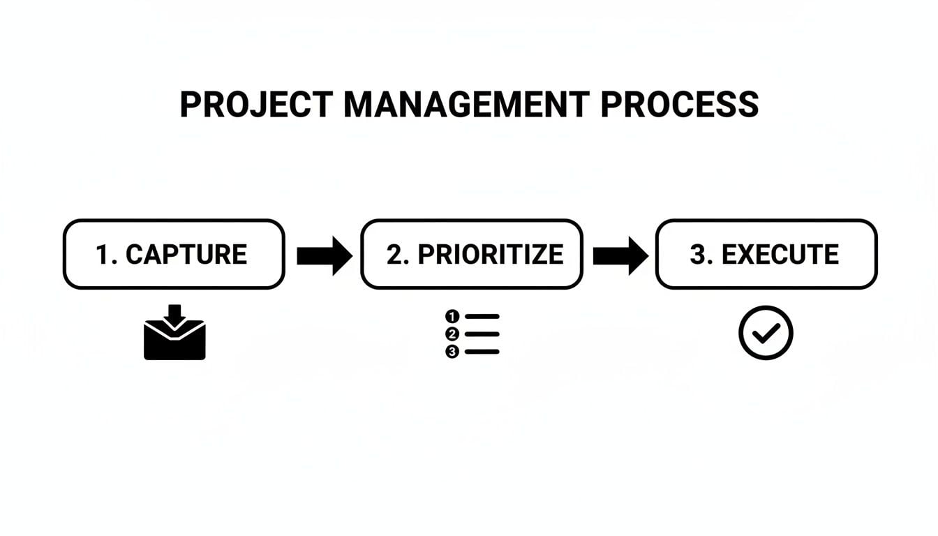 A project management process flowchart with three steps: Capture, Prioritize, and Execute, accompanied by icons.
